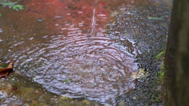 Water dripping into small puddle