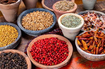 Obraz na płótnie Canvas Indian spices collection, dried colorful condiment, nuts, pods and seeds and another spices in clay bowls