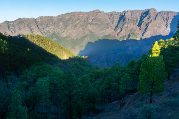 Scenic view on Caldera de Taburiente with green pine forest, ravines and rocky mountains near viewpoint Cumbrecita, La Palma, Canary islands, Spain