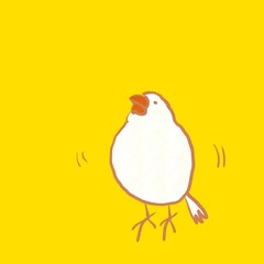 上を向いた文鳥（白文鳥）背景カラー
