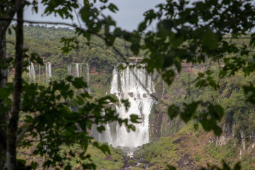 Fototapeta premium cascata cachoeira foz do iguaçu