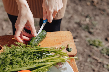 girl slices vegetables on the board and prepares a salad on the nature. sunny day and cooking. close-up view.