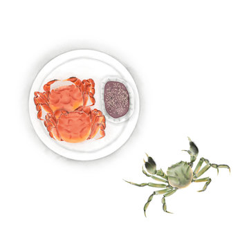 Watercolor Illustration of Hairy Crab | 大闸蟹