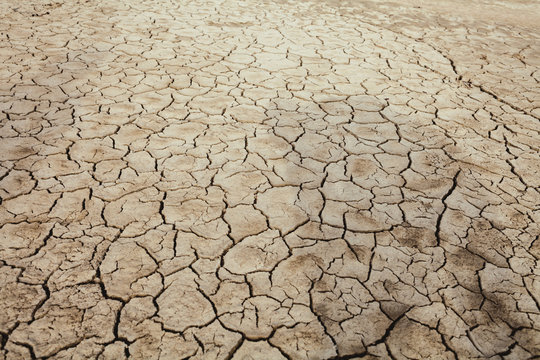 Cracks in the earth in rural areas. Ground texture background. Dry soil abstract photo. Mosaic pattern