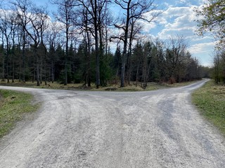 road in the forest