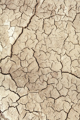 Cracks in the earth in rural areas. Ground texture background. Dry soil abstract vertical photo. Mosaic pattern