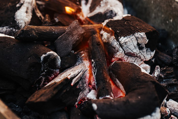 Close-up of grill. Charcoal with fire. Preparation for cooking mixed grill dishes.