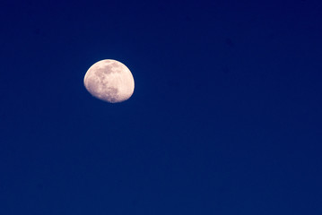 Naklejka na ściany i meble Luna creciente en hora azul