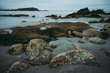 Beautiful shot of a beach at low tide with wet rocks in the foreground taken on a cloudy winter day in Cape Fouldwind, New Zealand