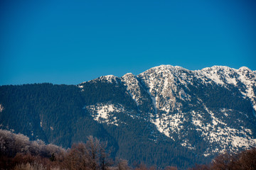 Fototapeta na wymiar the blue sky of the snow-covered mountain