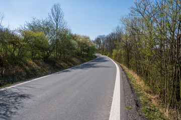 Fototapeta na wymiar road with winding and passing trees in spring, czech