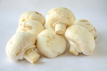 Mushrooms shot against a white background.