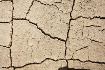 Fototapeta premium Cracks in the earth in rural areas. Ground texture background. Dry soil abstract photo. Mosaic pattern