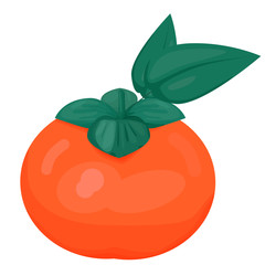 ripe persimmon painted in a simple style isolated on white background