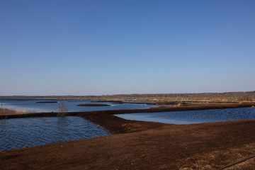 Das Moor im Weitwinkel