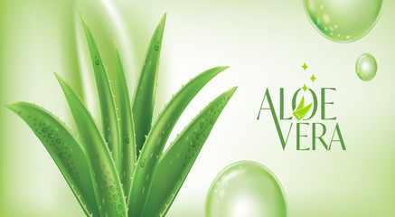 Aloe Vera collagen Serum Skin Care Cosmetic. - obrazy, fototapety, plakaty