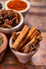Indian spices collection, dried aromatic cinnamon barks and another spices in clay bowls