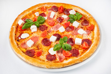 pizza on the white background