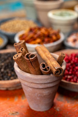 Indian spices collection, dried aromatic cinnamon barks and another spices in clay bowls