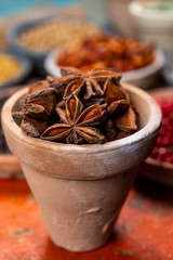 Indian spices collection, dried aromatic star anise and another spices in clay bowls