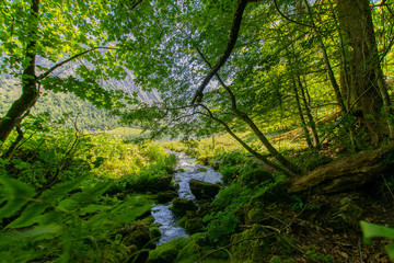 scenery around the Lake Königssee