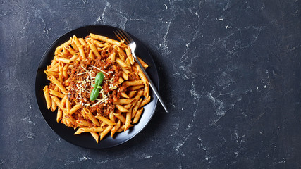 whole wheat pasta penne with beef ragout