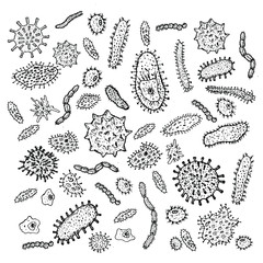 hand drawn vector illustration of virus