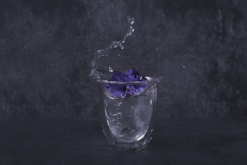 homemade varietal violet in a glass with splashing liquid. Fashionable drink flower cocktail. Splash of water in a transparent glass on a gray stone background.