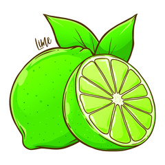 Lime Fruit Illustration