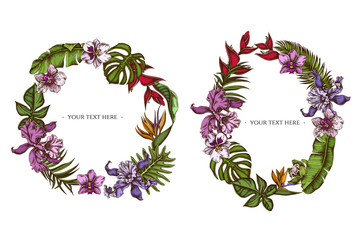 Floral Wreath of colored monstera, banana palm leaves, strelitzia, heliconia, tropical palm leaves, orchid