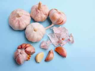 Top view of garlic and peeled cloves isolated on blue background.