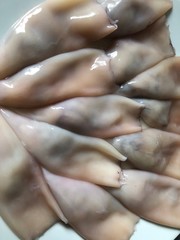 Fototapeta premium Chipirones