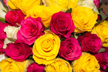 Background of a bouquet of bright roses, top view.
