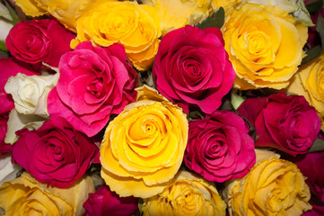 Background of a bouquet of bright roses, top view.