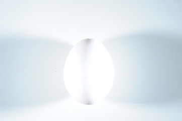 White chicken egg on a white background with shadows