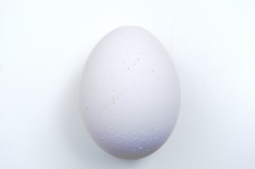 White chicken egg on a white background with shadows