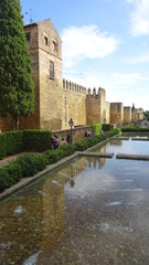 Fototapeta premium Cordoue