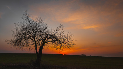 Fototapeta na wymiar Zachód słońca w Polsce