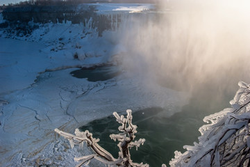 Ice Covered Branches at Sunrise on Snow Covered  Horseshoe Falls, Niagara Falls, Ontario, CAN