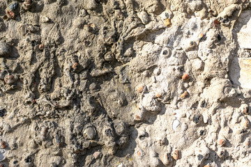 Texture of convex plaster. The rough finish of the wall.