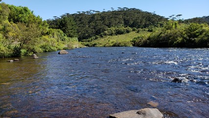 rio, arroio, campos de cima da serra, água corrente, correnteza, pedras, natureza, vida, truta