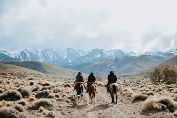 dosis de patagonia