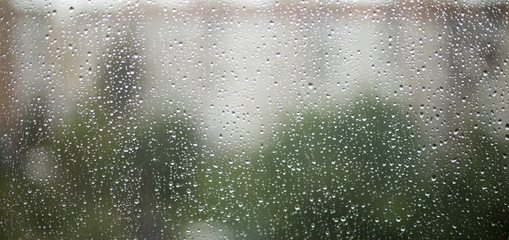 Raindrops on window glass