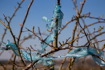 trash in the open air. Garbage bags on the trees.