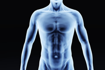 X-ray outline of man upper body, front view of chest and abdomen.