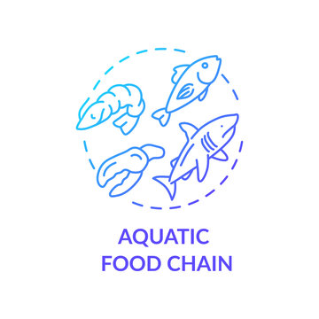 Aquatic Food Chain Concept Icon. Energy Producer And Consumers. Marine Flora And Fauna. Ecosystem Idea Thin Line Illustration. Vector Isolated Outline RGB Color Drawing