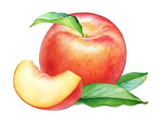 Watercolor peach fruits with leaves isolated on white background.