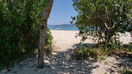 praia, natureza, vegetação, vida, férias, paraíso