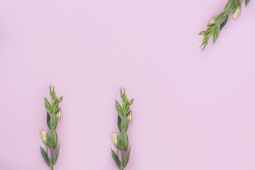 Three branches of eustoma on a pink horizontal background.