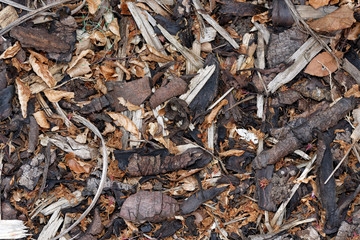 Abstract close up image of bark chippings backdrop or wallpaper